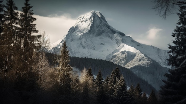 A mountain with snow on it and the sun shining on it