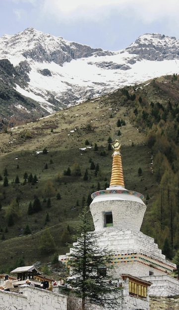 A mountain with snow on it