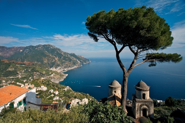 Photo a mountain with a tower that has a tree on it