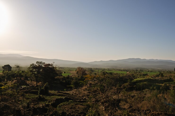 a mountain with a tree in the foreground and mountains in the background