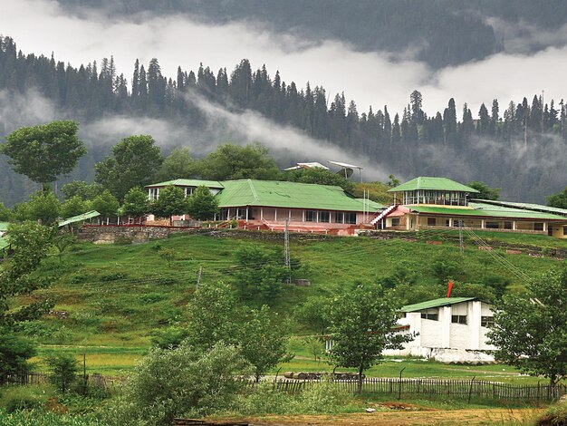 Photo a mountain with trees and houses on it