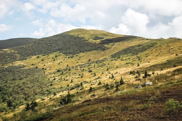 Mountain without trees