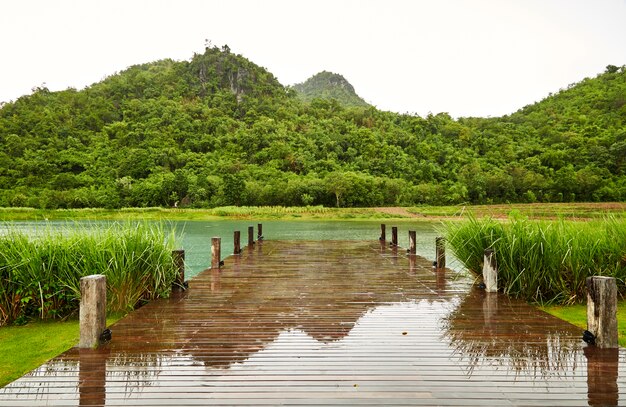 雨の中のマウンテン木製の橋