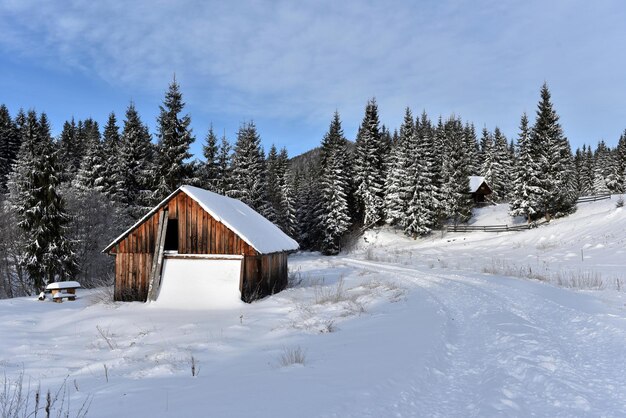 Mountain wooden chalet covered with fresh snow at winter