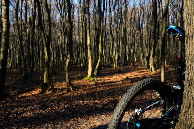 Mountainbike bij boom in bos