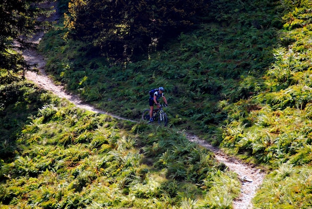 パス上のMountainbiker