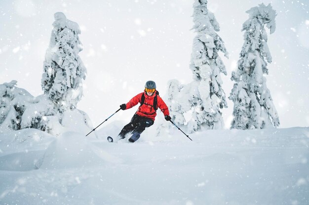 Mountaineer backcountry ski waling in the mountains Ski touring in high alpine landscape with snowy trees Adventure winter extreme sport