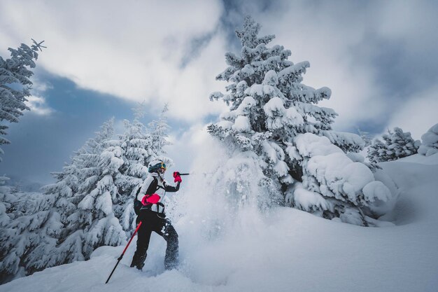 写真 登山家 バックカントリー スキー ウォーキング 山でのスキー アルピニスト 雪に覆われた木々 のある高山の風景でのスキー ツーリング アドベンチャー ウィンター スポーツ