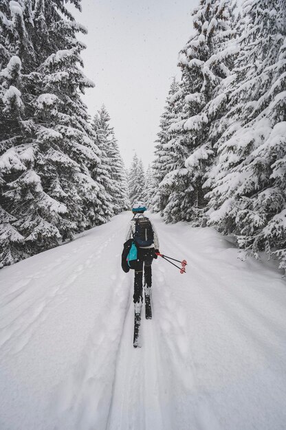 사진 산악인 백컨트리 스키 워킹 스키 산악인 눈 덮인 나무가 있는 고산 풍경에서 스키 투어 겨울 스포츠 모험