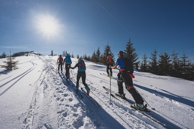 Mountaineer backcountry ski walking ski alpinist in the mountains Ski touring in alpine landscape with snowy trees Adventure winter sport