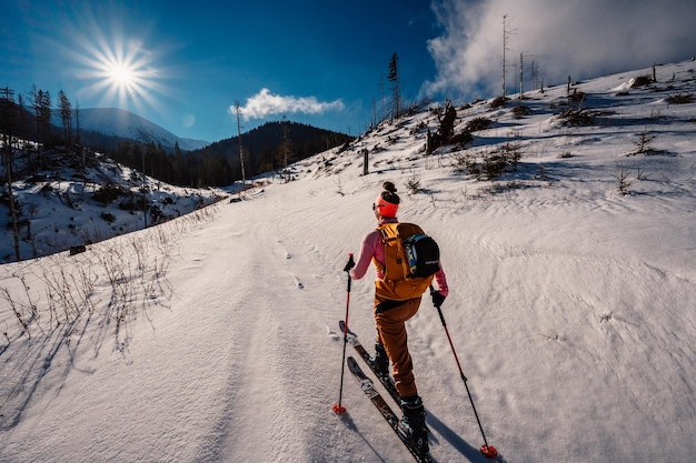 산악인 백컨트리 스키 워킹 스키 산악인 눈 덮인 나무가 있는 고산 풍경에서 스키 투어 겨울 스포츠 모험