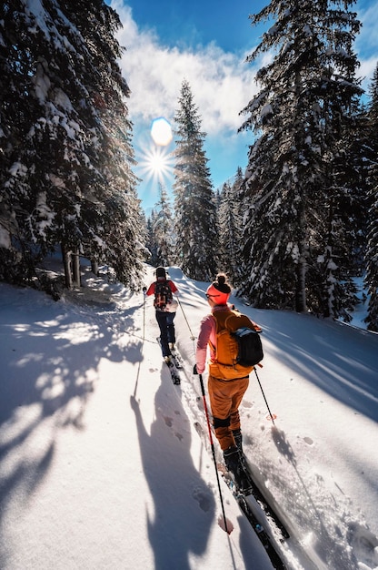 Mountaineer backcountry ski walking ski alpinist in the mountains Ski touring in alpine landscape with snowy trees Adventure winter sport