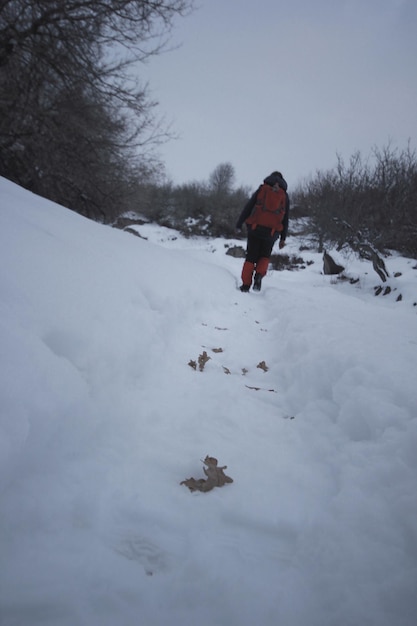 雪の上をハイキングする登山家の女性