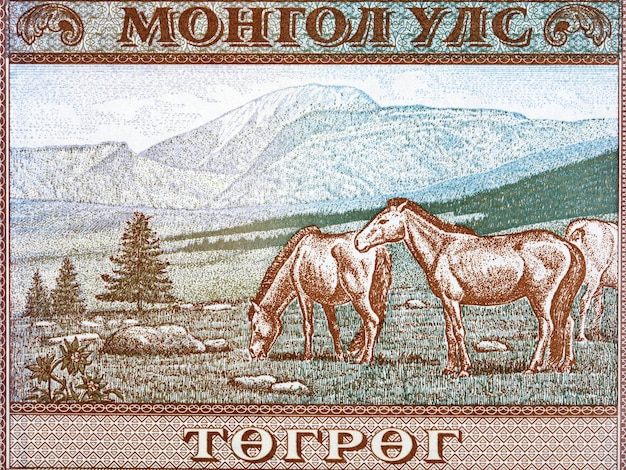 Mountainous landscape and horses eating grass from money