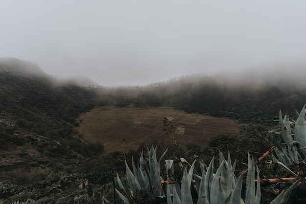 Mountainous landscape with fog in the canary islands