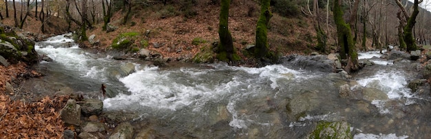 Mountainous rapid river in the forest in the mountains Dirfys on the island of Evia Greece