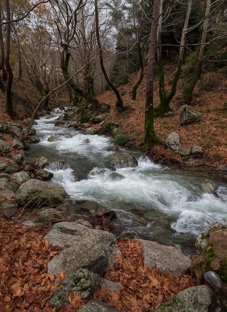 Rapido fiume montuoso con acqua limpida in montagna dirfys sull'isola di evia grecia