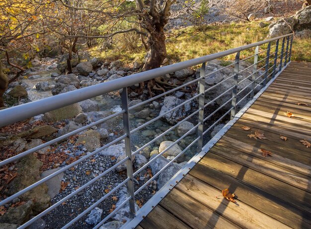 ギリシャのエヴィア島のディルフィスにある澄んだ水とプラタナスのある山岳地帯の急流