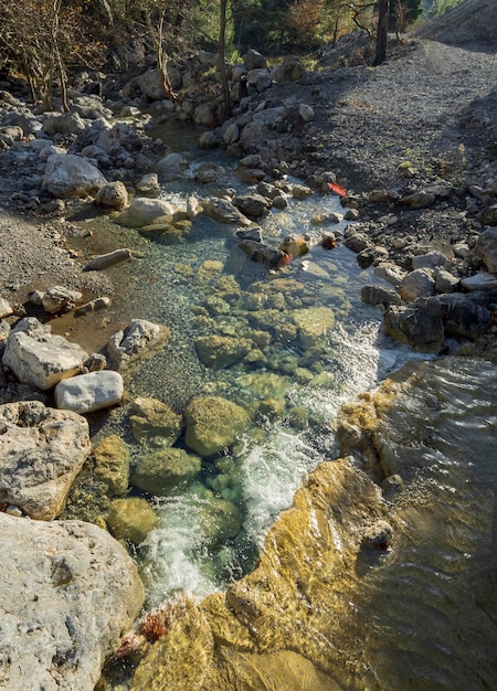 Mountainous rapid river with clear water and plane trees in Dirfys on the island of Evia Greece