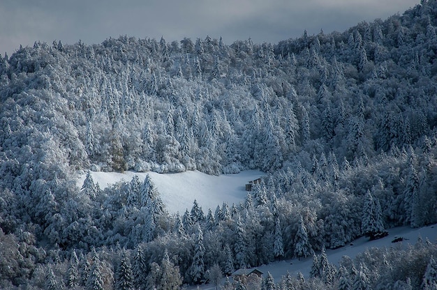 Mountains after snowfall