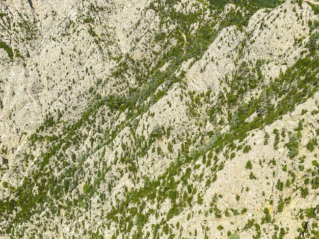 Mountains against a blue bright sky in a hot tropical country green wild plants bushes and trees