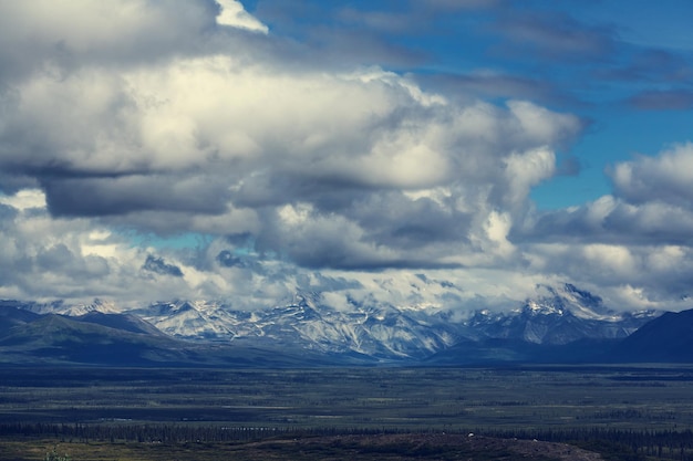 Mountains of Alaska in summer