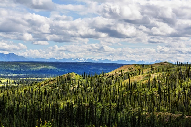 Mountains of Alaska in summer