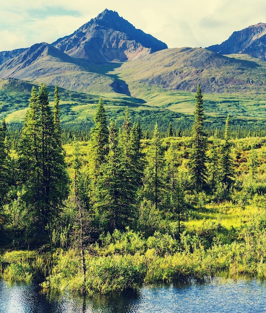 Foto montagne dell'alaska in estate