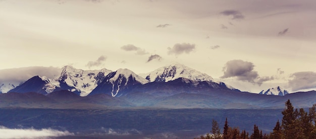 Mountains of Alaska in summer