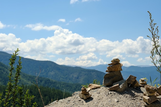 Горы заросли зелеными деревьями Сосны Елки в горах Природа Канады Природа России Природа США