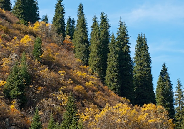 Mountains autumn panorama