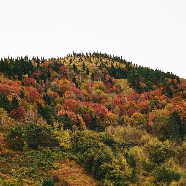ビルバオの秋の季節の山々