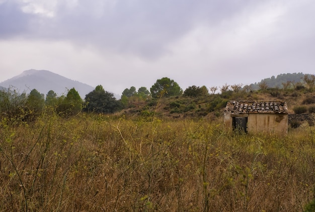 가을의 산.