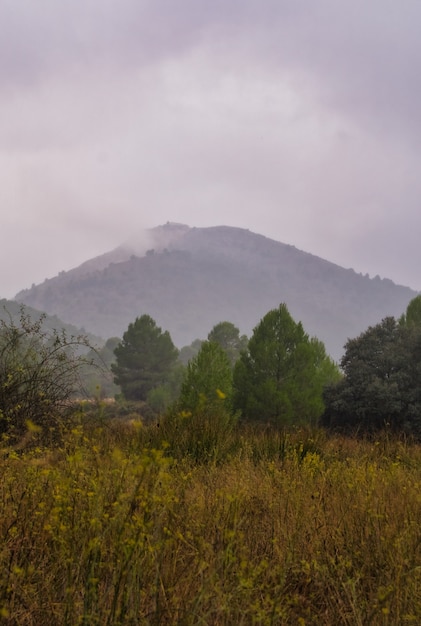 가을의 산.