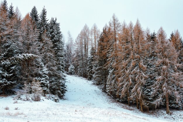 Горы Беллуно