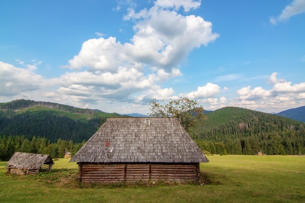 Carpathians 마을의 산에서 Synevir는 목조 주택을 포기했습니다. 임차인없이.