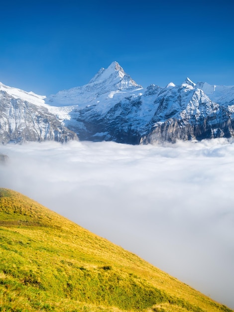 谷の山と雲山の高い自然の風景雲の切れ間からの山脈夏のグリンデルヴァルトスイスの風景