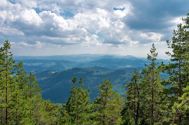 Mountains covered in greens gleaming under the cloudy sky  - great for wallpapers