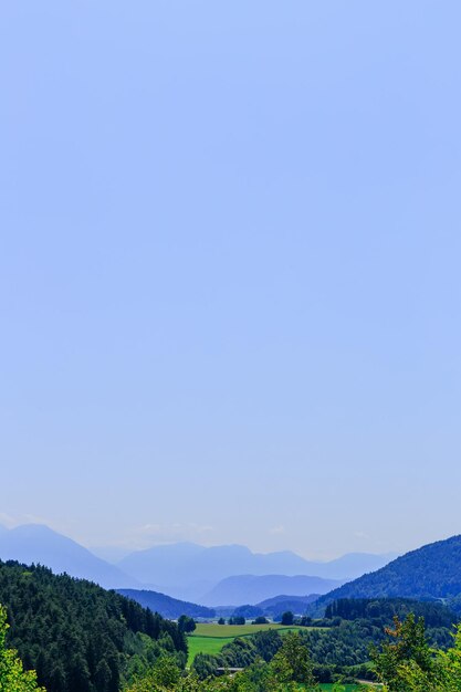 Mountains covered with forest blue cloudless sky