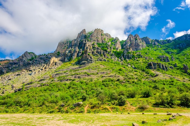 Mountains covered with forest on a summer day.