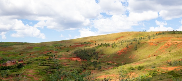 The Mountains covered with plants and a blue sky with small clouds