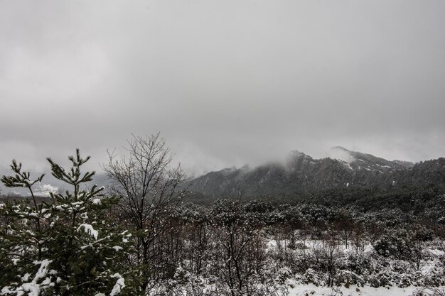 雪景色の遠くに雪と霧に覆われた山々