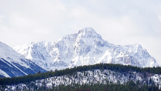 mountains covered with snow in National Park