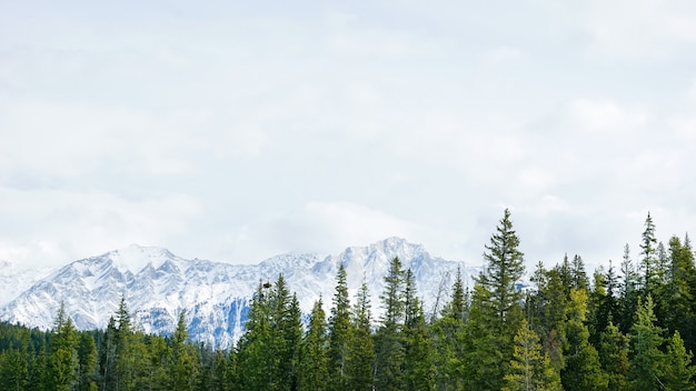 горы, покрытые снегом в Национальном парке