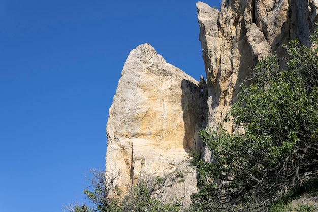 Mountains covered with trees against the blue sky on a summer day