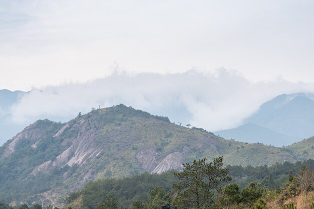 The mountains in the distance were filled with fog