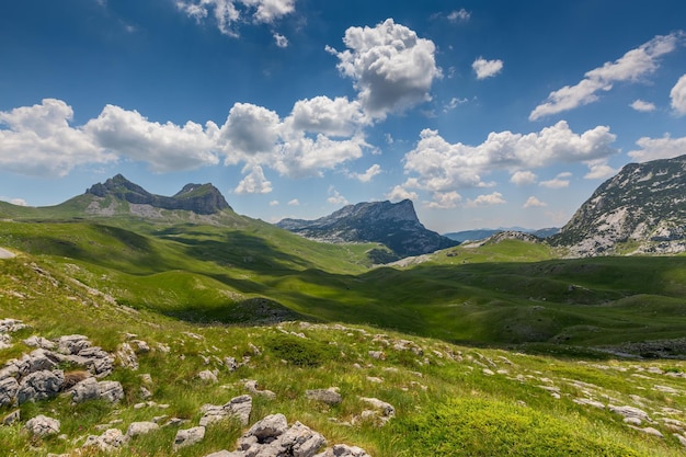 Mountains in Durmitor park Montenegro