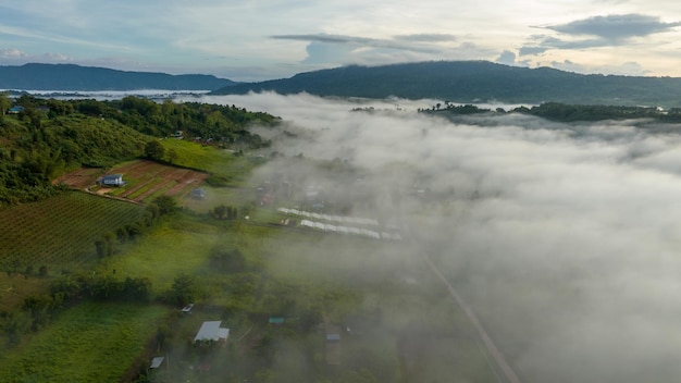 Photo mountains in fog at beautiful autumn in phetchabun thailand fog mountain valley low clouds forest colorful sky with pine trees in spruce foggy forest with bright sunrise