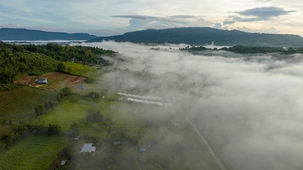 Mountains in fog at beautiful autumn in Phetchabun Thailand Fog mountain valley low clouds forest colorful sky with pine trees in spruce foggy forest with bright sunrise