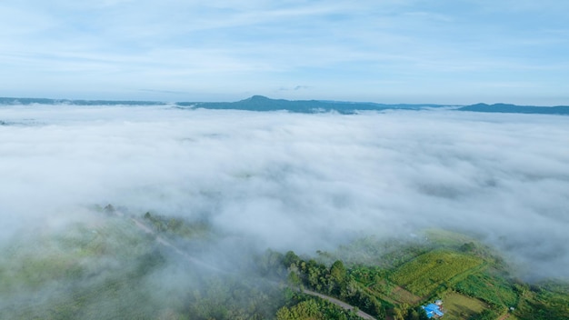 Mountains in fog at beautiful autumn in Phetchabun Thailand Fog mountain valley low clouds forest colorful sky with pine trees in spruce foggy forest with bright sunrise